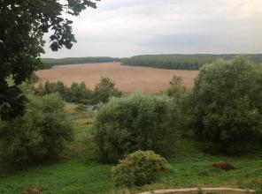 Продается 2-х этажный кирпичный дом 54 сотки.