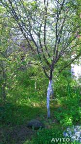 Продам дачу на участке 13 сот., Ярославское шоссе.