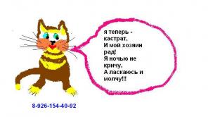 Кастрация котов, кобелей,удаление зубов недорого