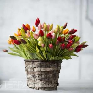 Абсолютная имитация живых цветов от Terra Fiori!