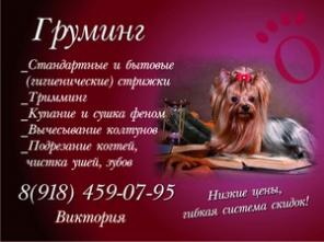 Стрижка собак в Темрюке