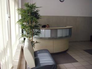 Аренда офиса м. Савеловская 340м2