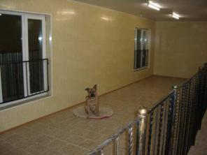 Гостиница для животных