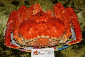 Краб королевский камчатский,опилио,синий,ангулятус,живой,варено мороженный,целый,разделка .Доставка по РФ,Казахстану,Беларуссии.
