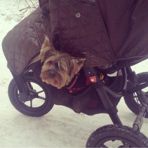 Коляска Baby Jogger City Elite 2014