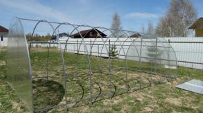 Теплицы из поликарбоната Чаровница