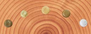 Качественный герметик для дерева Wepost Wood