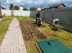 Устройство и посадка газона
