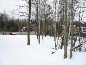 Продам Участок на Пятницком ш. 14 км от МКАД д. Большаково. Площадь участка 20 соток (ИЖС). Участок лесной. Находится к коттеджной застройки. Газ, электричество по границе участка. Рядом лесной массив, речка Банька. Хорошие подъездные пути. Удобная трансп