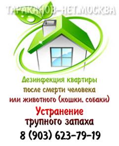 Дезинфекция квартиры после болезни (смерти) человека или животного.