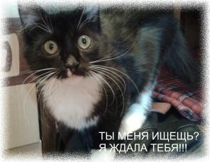 Яночка ищет дом
