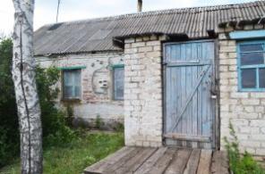 Кирпичный дом с участком 61 сотка рядом с прудом и лесом в Лев-Толстовском районе Липецкой области