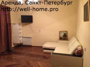 Однокомнатная в центре. Метро " Садовая"