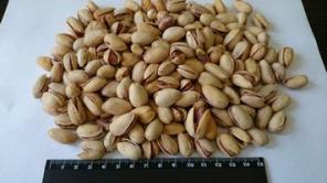 Продажа Фисташка-Иран (Ахмат-Агаи), (Фандоги)