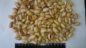 Продажа Фисташка-Иран (Ахмат-Агаи), (Фандоги)