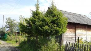 участок 5 соток Московский тракт