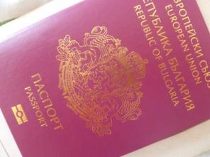 Помощь в оформлении гражданства Евросоюза за год