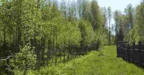 Продажа участков на границе с Иматрой. (под Выборгом)