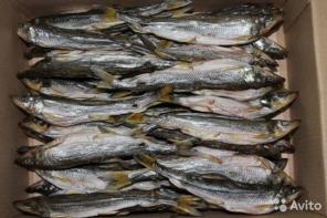 Вяленая Корюшка и соломка Горбуши в Воронеже