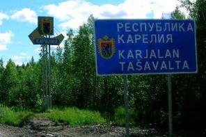 Березовая кора, чага, шишки, мох , кап, листья диких ягод.