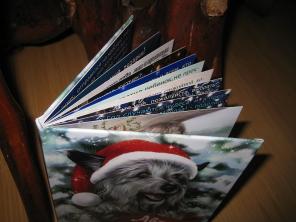 Индивидуальная новогодняя книжка