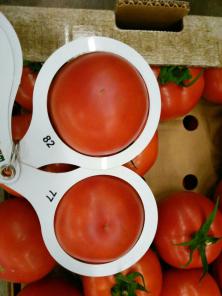 ОВОЩИ И ФРУКТЫ БОЛЬШИМИ ПАРТИЯМИ ПРОДАЁМ БЕЗ ПЕРЕБОЙНЫЕ ПОСТАВКИ