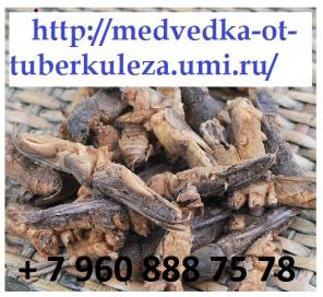 Сушеная азиатская медведка из Китая