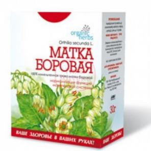 Боровая матка - чудо трава для женщин