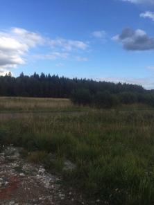 Участок. Ижс. Москва. Прописка. Не дорого.