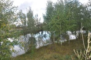 Участок новая Москва. Не дорого.