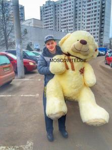 Плюшевые медведи оптом от производителя