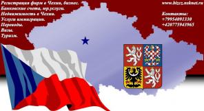 Иммиграция в Чехию, бизнес услуги, визы