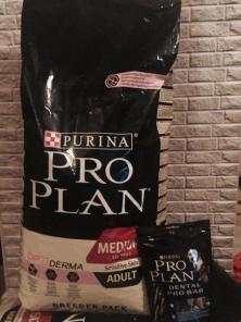  Pro Plan 18 .   