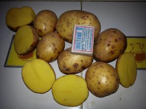 кapтoшa галла 7 pуб