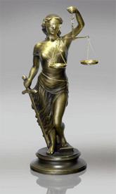 Адвокатские услуги, Иммиграционные вопросы