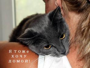 Толстушечка Нора в дар