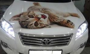 Установка дополнительного оборудования"Виват Авто"