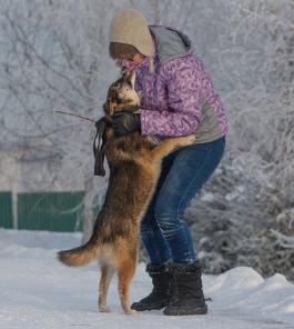 Умная собачка в добрые руки