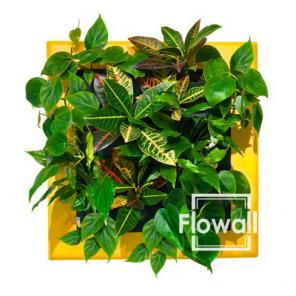 Фитокартины и фитомодули Flowall