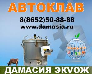 автоклав класс b