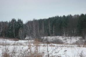 Продам уч. 30,45 сот. Симферопольское ш. 120 км от МКАД
