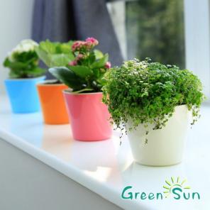 Умный горшок Green Sun, кашпо с автополивом