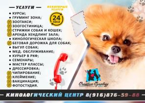 Зоосалон "CREATIVE CYNOLOGY",м.Кантемировская.Хендлинг зал.Дрессировка.