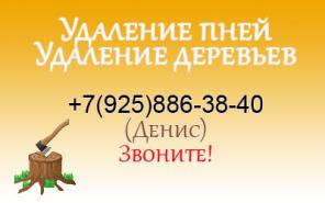 Удаление деревьев профессиональными арбористами