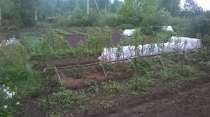 Продам участок 13.6 сот., земли сельхозназначения (СНТ, ДНП), 25 км до города