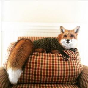 Займ на выгодных условий