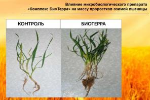 Эффективное биоудобрение от производителя.