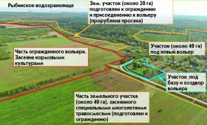 Участок 100 га (вольер для разведения животных)
