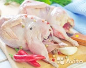 Мясо перепелов, свежее перепелиное мясо
