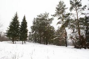 Продам участок 215 соток. Ярославское ш 32 км от МКАД